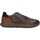 Pantofi Bărbați Pantofi sport Casual IgI&CO 4640722 Maro