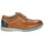 Pantofi Bărbați Pantofi Derby Fluchos TAYLOR Maro / Albastru