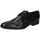 Pantofi Bărbați Pantofi Oxford
 Stefano Branchini EZ842 Negru