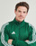 Îmbracaminte Bărbați Bluze îmbrăcăminte sport  adidas Performance TIRO24 TRJKT Verde / Alb