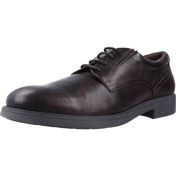 Pantofi Bărbați Pantofi Oxford
 Geox U APPIANO Maro