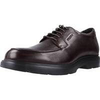 Pantofi Bărbați Pantofi Oxford
 Stonefly FOREVER 3 CALF LTH Maro
