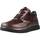 Pantofi Femei Pantofi Oxford
 Stonefly CLERYN HDRY 15 VELOUR/LAMINATED Maro
