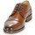 Pantofi Bărbați Pantofi Derby Redskins VERSATIL Coniac / Albastru