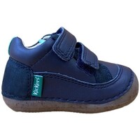 Pantofi Cizme Kickers 28005-18 Albastru