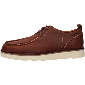 Pantofi Bărbați Pantofi Oxford
 Schmoove  