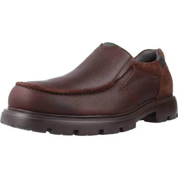 Pantofi Bărbați Pantofi Oxford
 Pitillos 4930P Maro