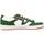 Pantofi Bărbați Sneakers Vans LOWLAND CC GREENHOU verde