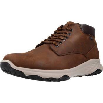 Pantofi Bărbați Cizme IgI&CO EDWIN GTX Maro