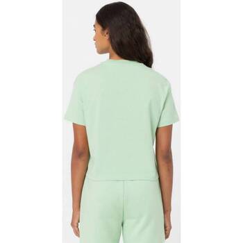 Dickies OAKPORT BOXY TEE SS W verde