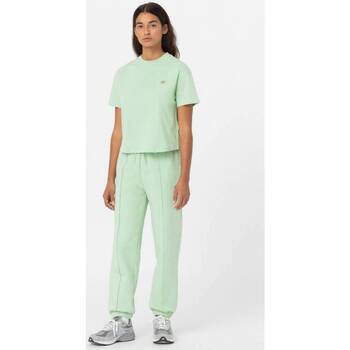 Dickies OAKPORT BOXY TEE SS W verde