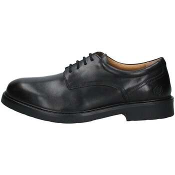 Pantofi Bărbați Pantofi Oxford
 Lumberjack  