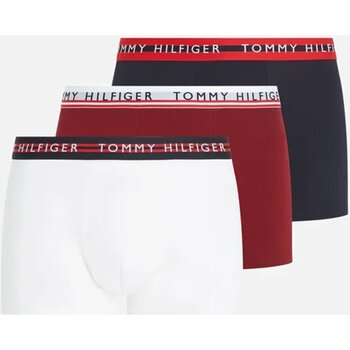 Lenjerie intimă Bărbați Boxeri Tommy Hilfiger UM0UM03007 Multicolor
