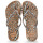 Pantofi Femei  Flip-Flops Havaianas SLIM ANIMALS Maro