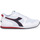 Pantofi Bărbați Trail și running Diadora C0178 SKYLER Alb