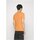 Îmbracaminte Bărbați Tricouri mânecă scurtă Calvin Klein Jeans J30J320806 portocaliu