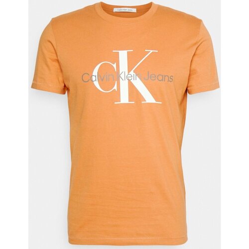 Îmbracaminte Bărbați Tricouri mânecă scurtă Calvin Klein Jeans J30J320806 portocaliu