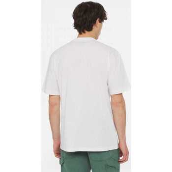 Dickies Aitkin chest tee ss Alb