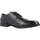 Pantofi Bărbați Pantofi Oxford
 Geox U IACOPO Negru