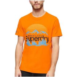 Îmbracaminte Bărbați Tricouri mânecă scurtă Superdry  portocaliu