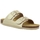 Pantofi Femei Papuci de vară Plakton BETA Auriu