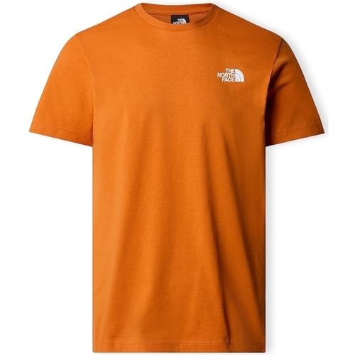 Îmbracaminte Bărbați Tricouri & Tricouri Polo The North Face Redbox Celebration T-Shirt - Desert Rust portocaliu