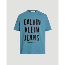 Îmbracaminte Bărbați Tricouri mânecă scurtă Calvin Klein Jeans J30J324648 albastru