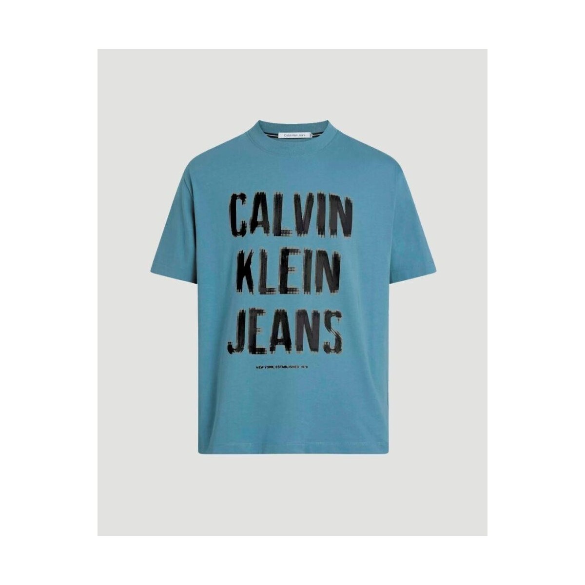 Îmbracaminte Bărbați Tricouri mânecă scurtă Calvin Klein Jeans J30J324648CFQ albastru