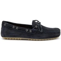Pantofi Bărbați Pantofi Oxford
 Frau 31B2 CASTORO albastru