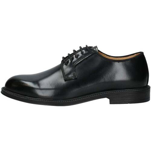 Pantofi Bărbați Pantofi Oxford
 Exton  