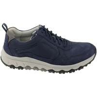 Pantofi Bărbați Sneakers Pius Gabor 8005.11.01 albastru