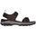 Pantofi Bărbați Sandale Skechers SANDALE  205112 Maro