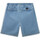 Îmbracaminte Bărbați Pantaloni scurti și Bermuda Vans Range denim relaxedhort albastru