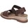 Pantofi Femei Sandale Skechers 114687 Maro