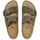 Pantofi Bărbați Sandale Birkenstock Arizona leoi verde