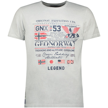 Îmbracaminte Bărbați Tricouri mânecă scurtă Geo Norway SW1562HGNO-LIGHT GREY Gri