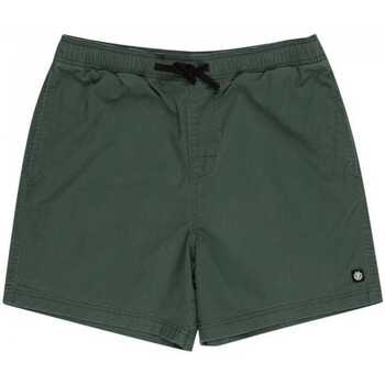 Îmbracaminte Bărbați Pantaloni scurti și Bermuda Element Valley twill verde