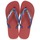 Pantofi  Flip-Flops Havaianas BRASIL LOGO Albastru / Roșu