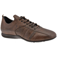 Pantofi Bărbați Sneakers Docksteps Zybra Soccer Style Casual Altă culoare