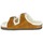 Pantofi Femei Papuci de vară Birkenstock ARIZONA Maro