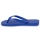 Pantofi  Flip-Flops Havaianas TOP Albastru / Blue