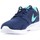 Pantofi Femei Pantofi sport Casual Nike Wmns  Kaishi 654845-431 albastru