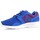 Pantofi Bărbați Pantofi sport Casual Nike Mens  Kaishi Print 705450-446 albastru