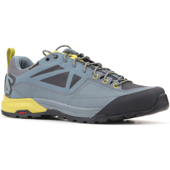 Pantofi Bărbați Pantofi sport Casual Salomon Trekking shoes  X Alp SPRY GTX 401621 Multicolor